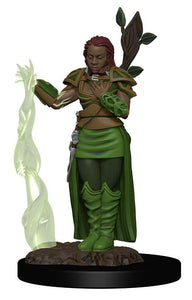 D&D: Icons of the Realms - Human Female Druid
