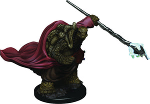D&D: Icons of the Realms - Tortle Male Monk