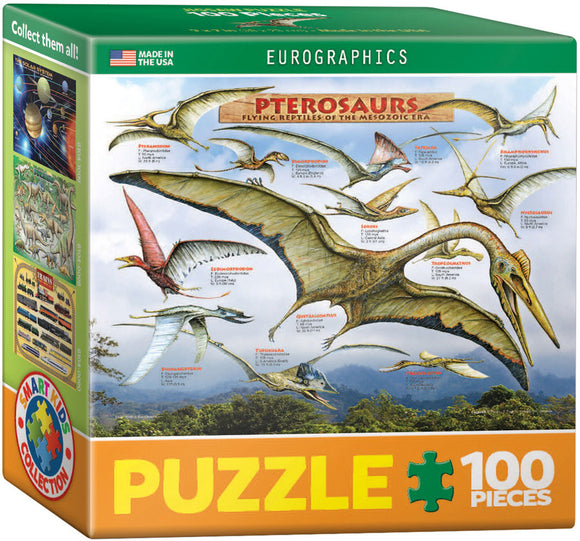 Puzzle: Mini Puzzle Collection - Pterosaurs