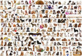 Puzzle: The BIG Puzzle Collection - The World of Dogs