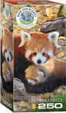 Puzzle: Save Our Planet Puzzles - Red Pandas