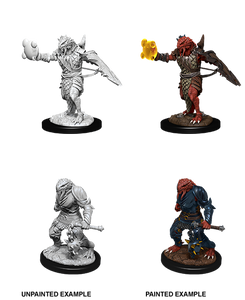 D&D: Nolzur's Marvelous Miniatures - Dragonborn Male Paladin
