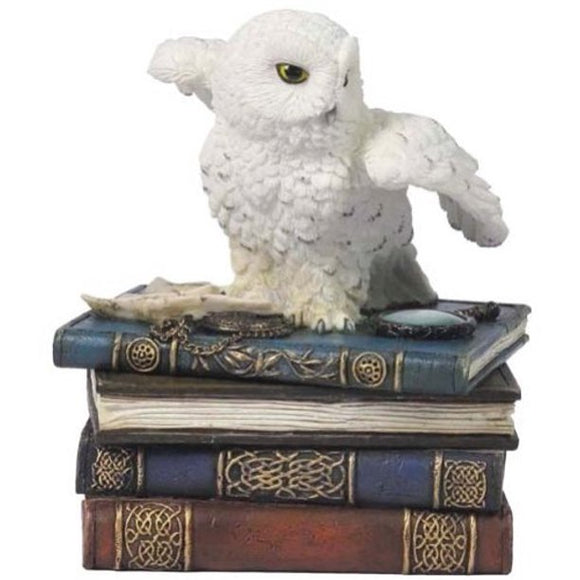Snow Owl on Books Trinket Box