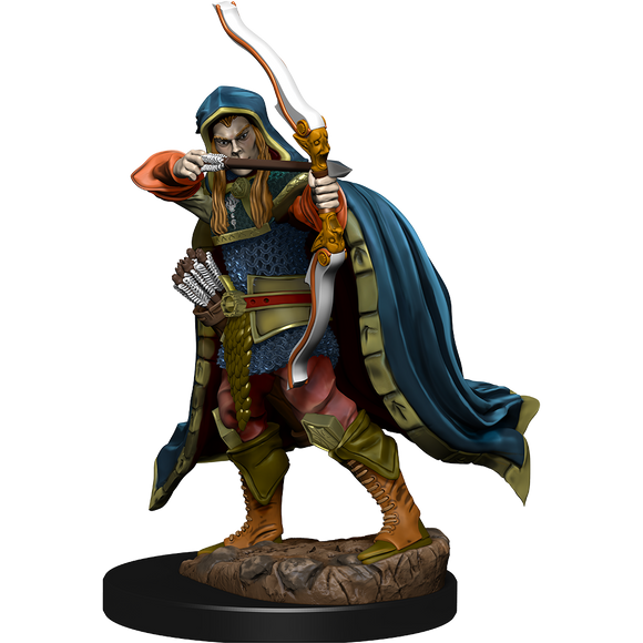 D&D: Icons of the Realms - Elf Rogue Male