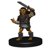 D&D: Icons of the Realms - Goblin Warband