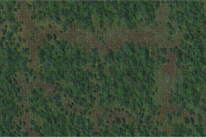 D&D: Icons of the Realms - Forest Battle Mat