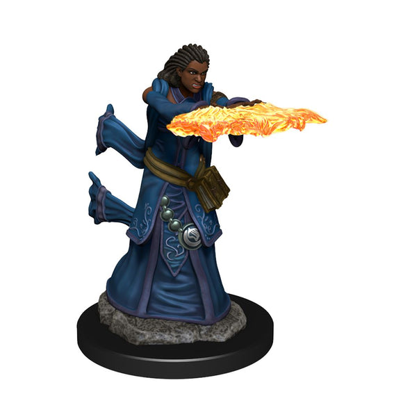 D&D: Icons of the Realms - Human Wizard Female