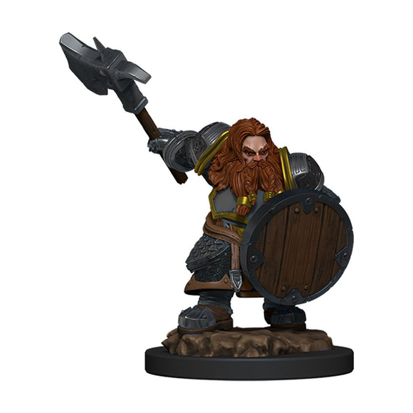 D&D: Icons of the Realms - Dwarf Fighter Male