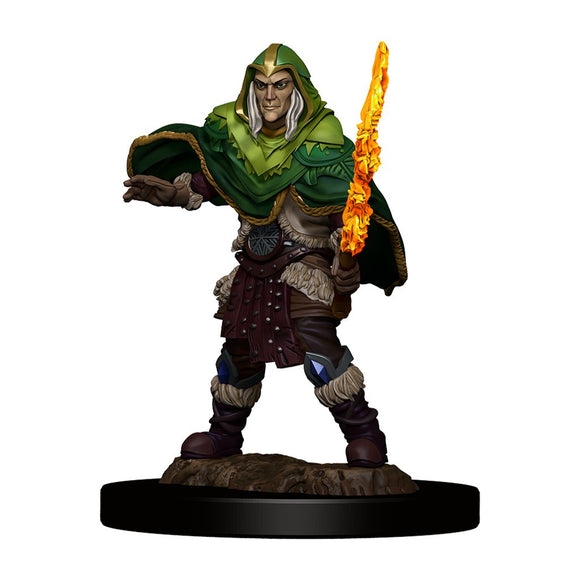 D&D: Icons of the Realms - Elf Fighter Male
