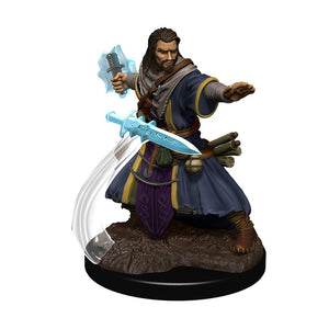 D&D: Icons of the Realms - Human Wizard Male