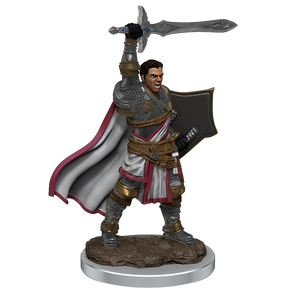 D&D: Icons of the Realms - Male Human Paladin Premium Figure