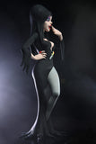 Toony Terrors: Elvira Mistress of the Night