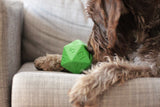 Paw-lymorph D20 Dog Toy Green
