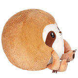 Squishable Snuggly Sloth (Standard)