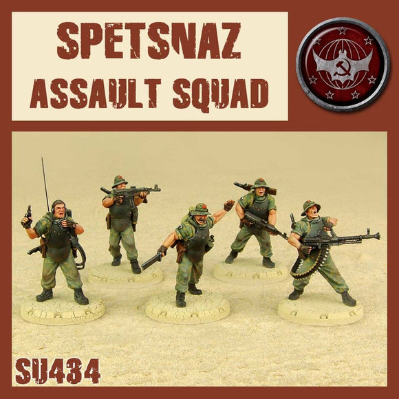 DUST 1947: Spetsnaz Assault Squad