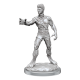 D&D: Nolzur's Marvelous Miniatures - Headless Monster