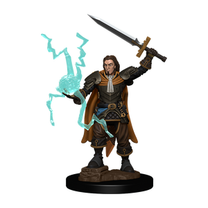 Pathfinder Battles: Human Cleric Male