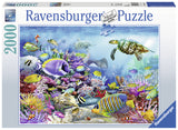 Puzzle: Coral Reef Majesty
