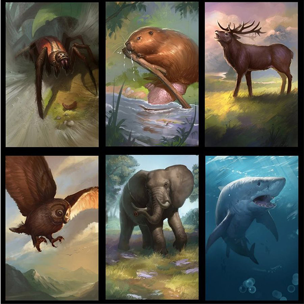 Cardline Animals – Little Shop of Magic