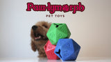 Paw-lymorph D20 Pet Toys
