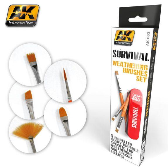 AK-Interactive Brush: Survival Weathering Brush Set