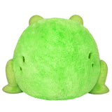 Squishable Frog (Standard)