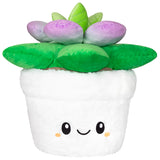 Squishable Succulent (Standard)